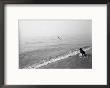 Dog Fetches A Stick At The Shore by Stephen Alvarez Limited Edition Print