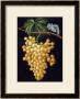 George Brookshaw Pricing Limited Edition Prints