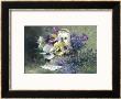 Pansies And Forget-Me-Not by Albert Tibulle De Furcy Lavault Limited Edition Pricing Art Print