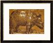 The Rhinoceros, 1515, Pen And Ink, Wash by Albrecht Durer Limited Edition Print