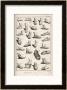 Selection Of Ancient And Not So Ancient Footwear Including Various Styles Of Sandal by Bernard Limited Edition Print