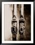 Close-Up Of Old Ski Equipment by William Swartz Limited Edition Pricing Art Print