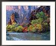 Fall Foliage Along Virgin River, Zion National Park, Utah, Usa by Howie Garber Limited Edition Pricing Art Print