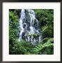 Waterfall Cascading Over Rocks In A Lush Forest Setting by David Pluth Limited Edition Print