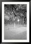 Snow Covered Promenade, Central Park by Walter Bibikow Limited Edition Print