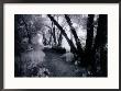 Path Through The Woods, Infrared Photograph by Rick Kooker Limited Edition Print
