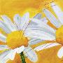 Wish You Were Here I by Jurgen Muss Limited Edition Print