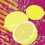 Lemon by Rod Neer Limited Edition Print