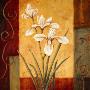 White Irises by Leanne Noble Limited Edition Print