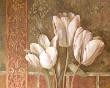 Three Grace Tulips by Selvaggio Limited Edition Print