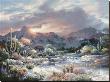 Sonoran Sunrise by James Lee Limited Edition Print