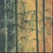 Bamboo Groove I by Kate Ruff Limited Edition Print