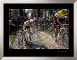 Paris-Roubaix, Vache Bleu, 1988 by Graham Watson Limited Edition Print