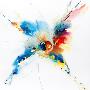 Flying Colours I by Hansjorg Furrer Limited Edition Print