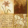 Tulip Manuscripts I by Elizabeth Jardine Limited Edition Print