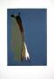 Versteinerte Tropfen Iii by Markus Lupertz Limited Edition Print