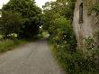 Rural Ireland, Stone Wall Along Country Road by Keith Levit Limited Edition Print