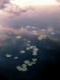 Reflection Of Clouds In Lake With Lily Pads by Stefan Hallberg Limited Edition Print