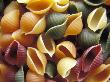 Multi Colored Pasta by Fogstock Llc Limited Edition Print