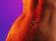 Stomach Of A Fit Woman With Navel Ring by Tomas Del Amo Limited Edition Print
