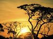 Botswana, Kalahari Desert, Sunset by Jacob Halaska Limited Edition Print