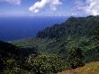 Kokee State Park, Honopu, Hi by Bill Bachmann Limited Edition Print
