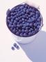 Bucket Of Blueberries by Len Delessio Limited Edition Print