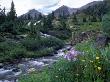 Yankee Boy Basin, San Juan Mts, Co by David Carriere Limited Edition Pricing Art Print