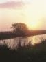 Sunrise, San Bernard Nwr, Tx by Harry Walker Limited Edition Print