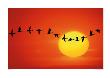 Geese Silhouetted In Flight by Mitchell Funk Limited Edition Print