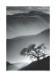 Misty Mountains by Jean Miele Limited Edition Print