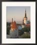 Medieval Town Walls And Spire Of St. Olav's Church At Dusk, Tallinn, Estonia, Baltic States by Neale Clarke Limited Edition Print