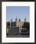 The Tower Of London, London, England by Amanda Hall Limited Edition Print