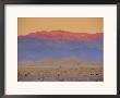 Sand Dunes, Death Valley National Park, California, Usa by Gavin Hellier Limited Edition Pricing Art Print