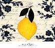 Citron Botanical by Anne Alleyne Limited Edition Print