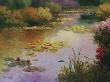 Water Lillies In Giverny by Karen Dupre Limited Edition Print