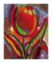 Kandinsky's Prize Tulip by John Newcomb Limited Edition Print