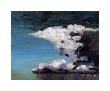 Sky Portrait I: Storm by John Newcomb Limited Edition Pricing Art Print