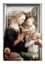 Madonna Del Granduca by Raphael Limited Edition Pricing Art Print