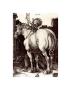The Large Horse by Albrecht Dürer Limited Edition Pricing Art Print
