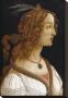 Portrait Of A Young Woman by Sandro Botticelli Limited Edition Print