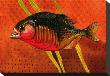Amazon Piranha by John Newcomb Limited Edition Pricing Art Print