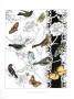 Aviary Ii by Chariklia Zarris Limited Edition Print