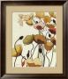 Pavots Ondule by Shirley Novak Limited Edition Pricing Art Print