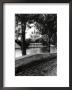 Notre-Dame, Paris by Clay Davidson Limited Edition Pricing Art Print