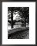 Notre-Dame, Paris by Clay Davidson Limited Edition Print