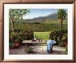 Overlooking The Vineyard by Barbara R. Felisky Limited Edition Pricing Art Print
