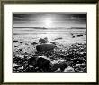 Sun Surf And Rocks by Richard Nowicki Limited Edition Print
