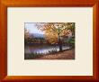 Golden Autumn by Diane Romanello Limited Edition Pricing Art Print