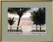 Palm Bay by Diane Romanello Limited Edition Pricing Art Print